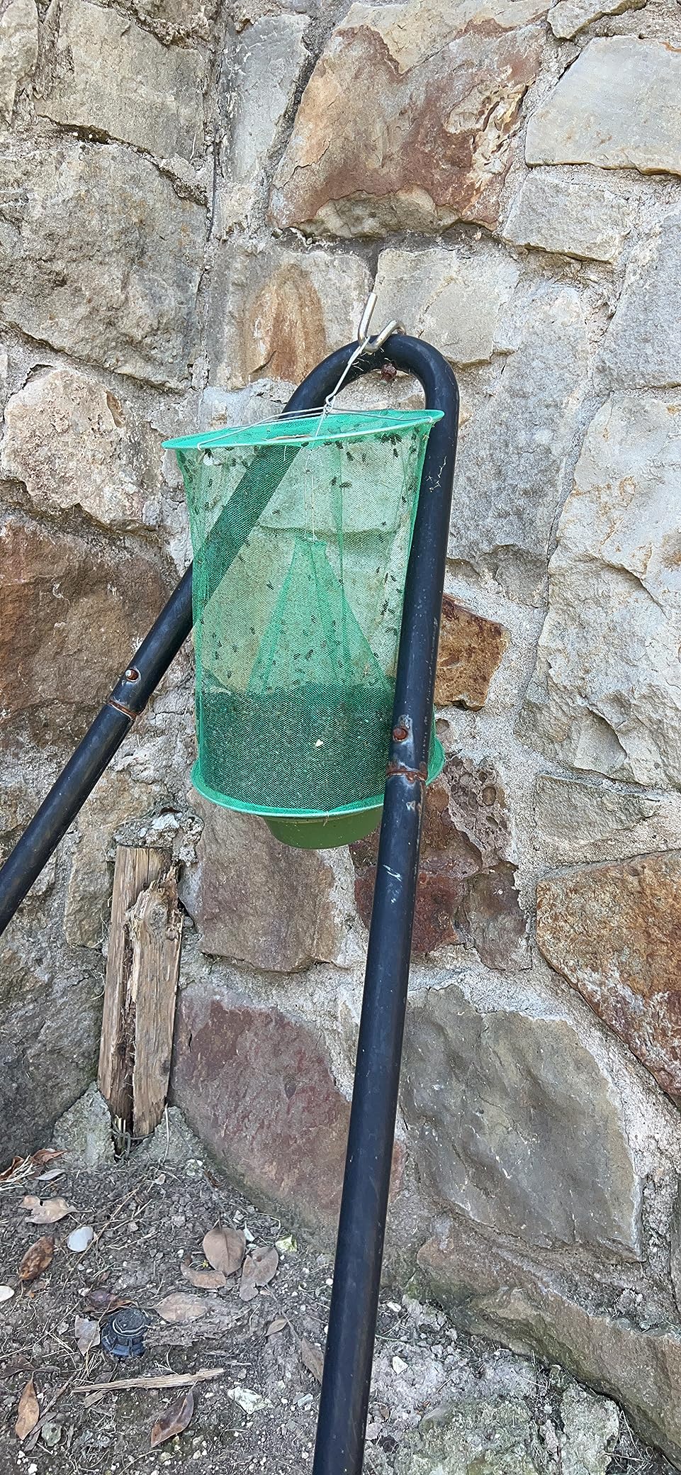 Capcana pentru Insecte