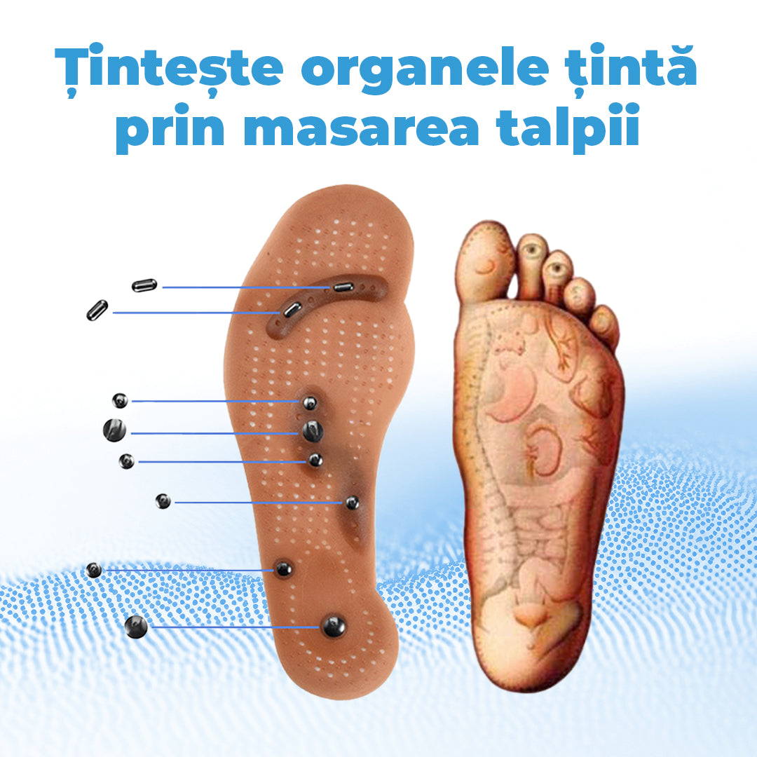 Tălpici Magnetici