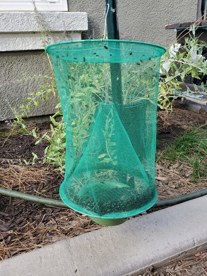 Capcana pentru Insecte