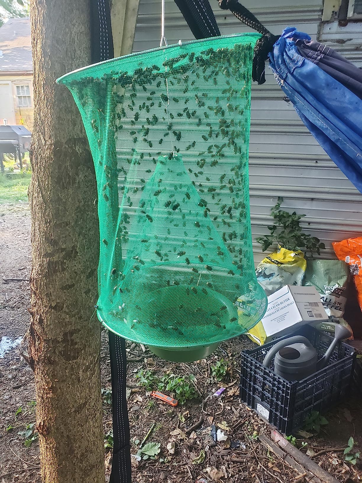 Capcana pentru Insecte