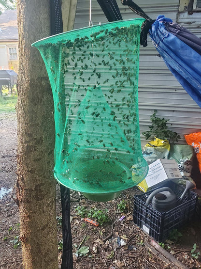 Capcana pentru Insecte