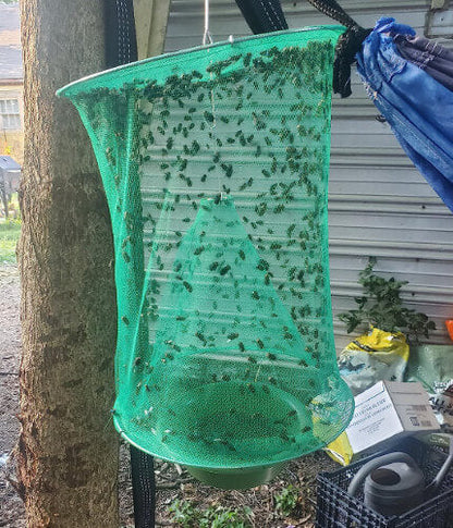 Capcana pentru Insecte