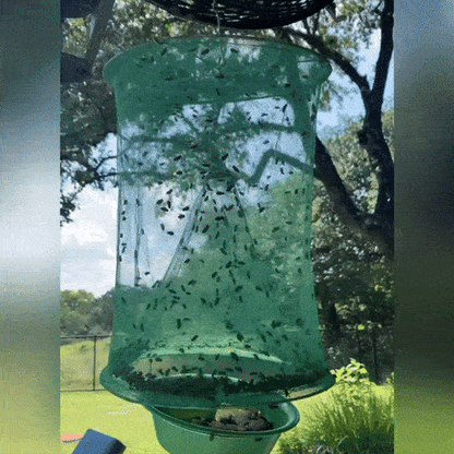 Capcana pentru Insecte